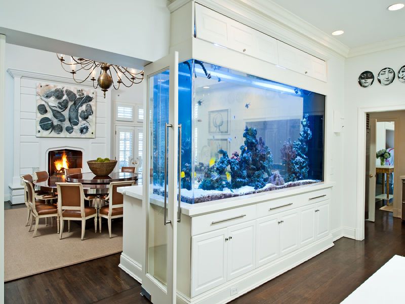 feng shui rumah pembawa hoki aquarium