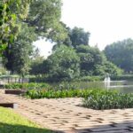 Tempat piknik sekitar Jakarta