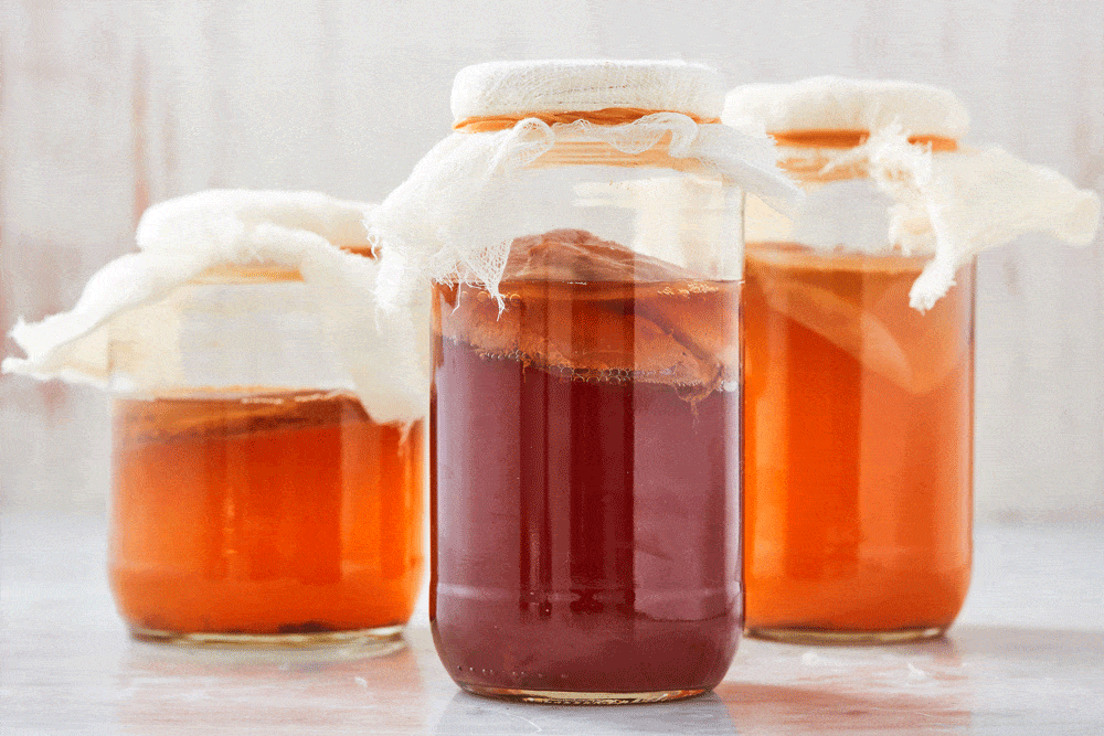 Kombucha 