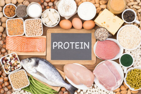 protein sehat