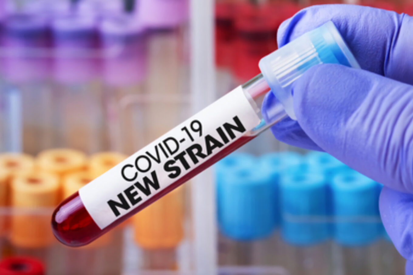Fakta mutasi virus B117