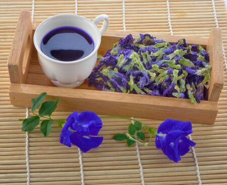 Resep Olahan Bunga Telang