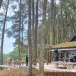 cafe tengah hutan
