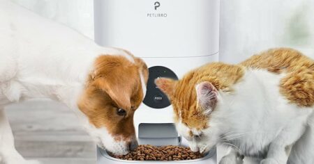 tempat makan minum anjing kucing