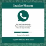 social spy whastapp