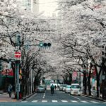 budget travel ke Jepang