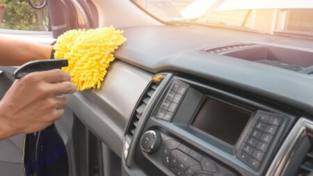 cara menghilangkan serangga di mobil