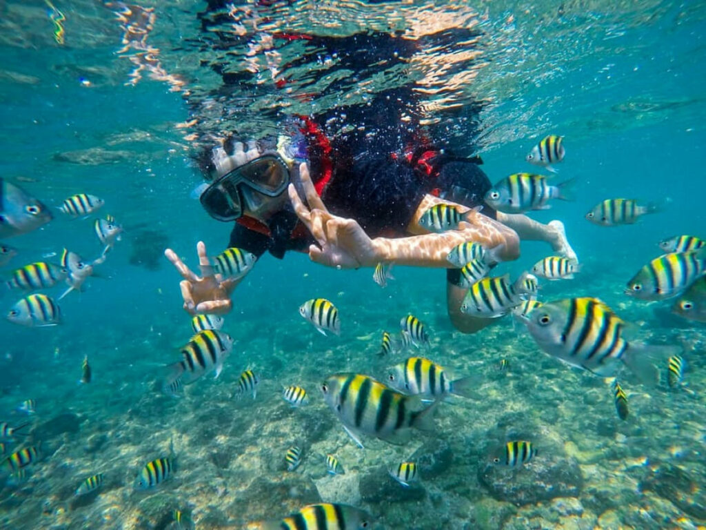 wisata snorkelling di jogja