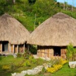 rumah adat Papua