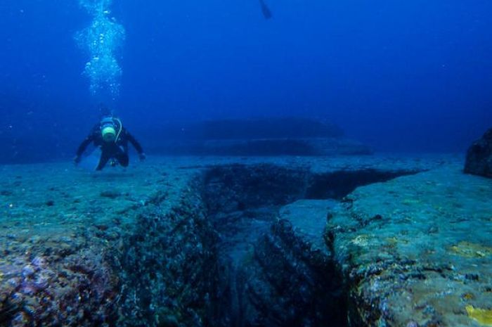 fakta palung mariana