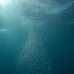 kisah misteri laut dalam