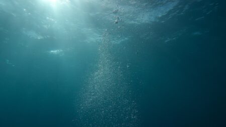 kisah misteri laut dalam