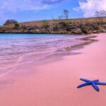 liburan pink beach lombok