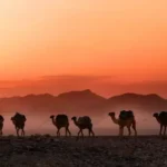 kalender hijriyah april 2023